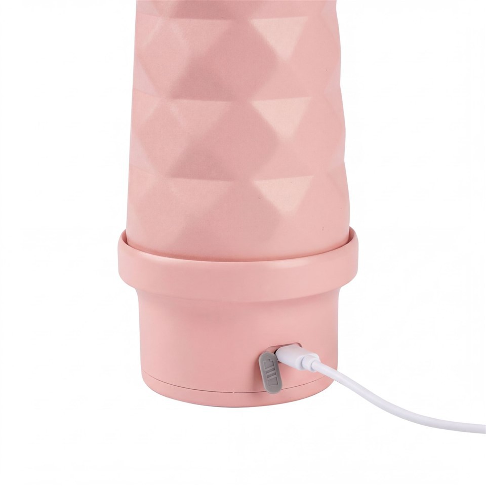 Stainless Steel Portable Juicer price